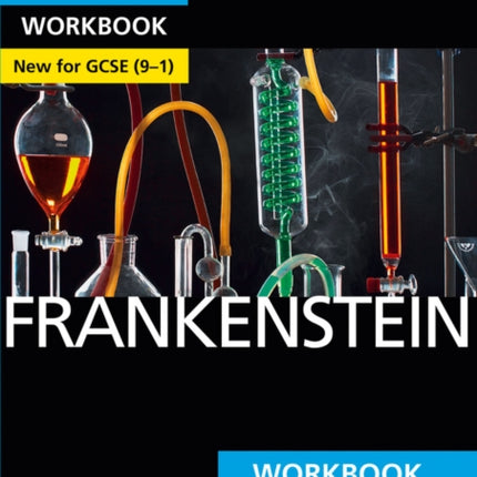 Frankenstein York Notes for GCSE Workbook  the