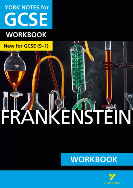 Frankenstein York Notes for GCSE Workbook  the