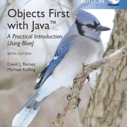 Objects First with Java A Practical Introduction