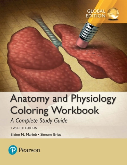 Anatomy and Physiology Coloring Workbook A