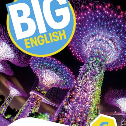 Big English AmE 2nd Edition 6 Workbook with Audio CD Pack