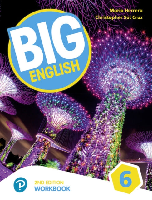 Big English AmE 2nd Edition 6 Workbook with Audio CD Pack