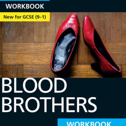 Blood Brothers York Notes for GCSE Workbook  the