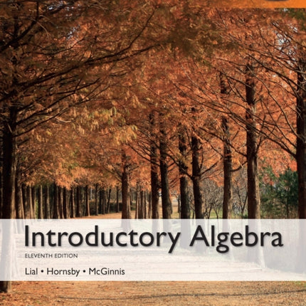 Introductory Algebra Global Edition