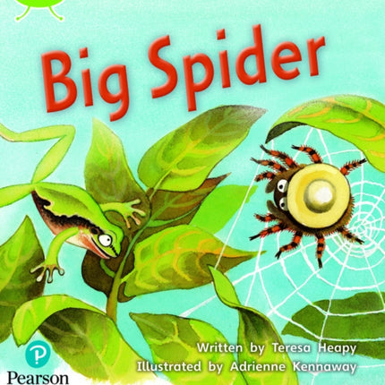 Bug Club Phonics - Phase 5 Unit 27: Big Spider