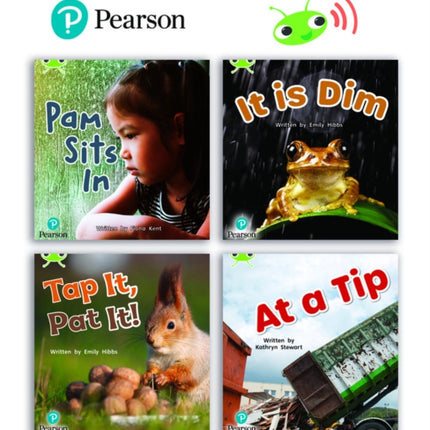 Learn to Read at Home with Bug Club Phonics Phase 2  Reception Term 1 4 nonfiction books Pack A