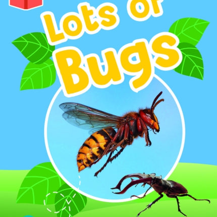 Bug Club Independent Phase 2 Unit 5: Lots of Bugs