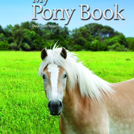 Bug Club Reading Corner Age 47 My Pony Book
