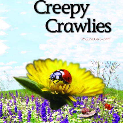 Bug Club Reading Corner: Age 5-7: Creepy Crawlies