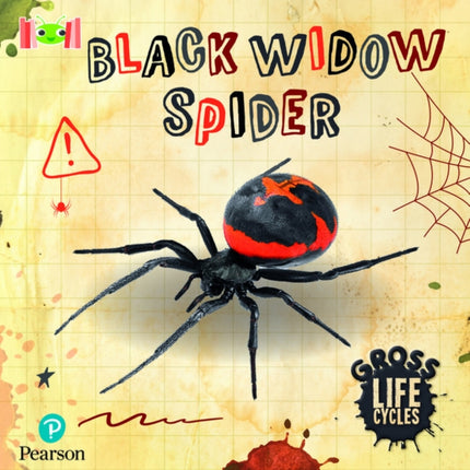 Bug Club Reading Corner Age 57 Gross Lifecycles