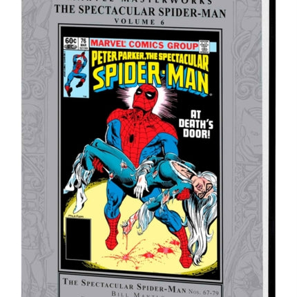 Marvel Masterworks: The Spectacular Spider-man Vol. 6