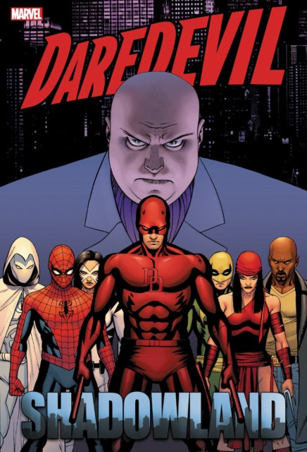 Daredevil Shadowland Omnibus Cassaday Cover New Printing