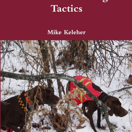 Pheasant Hunting Tactics