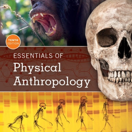 Essentials of Physical Anthropology