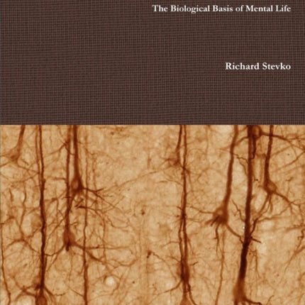 Neurophysiology