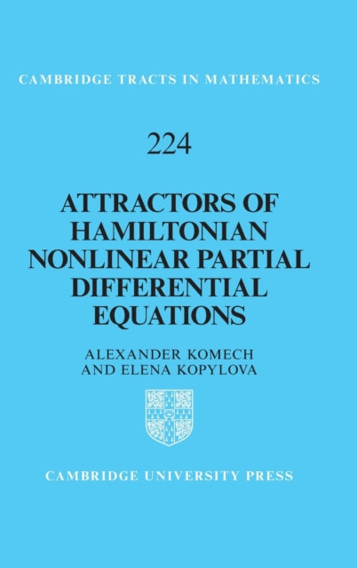 Attractors of Hamiltonian Nonlinear Partial