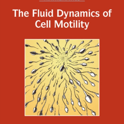 The Fluid Dynamics of Cell Motility