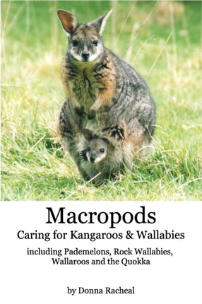 Macropods  Caring for Kangaroos and Wallabies