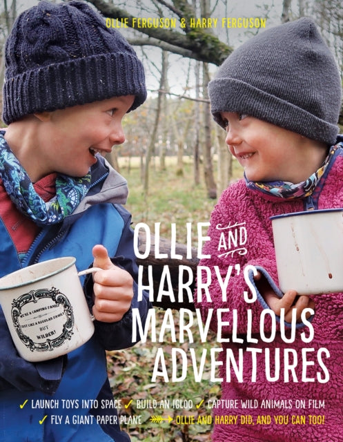 Ollie and Harrys Marvelous Adventures Norton Young Readers Book