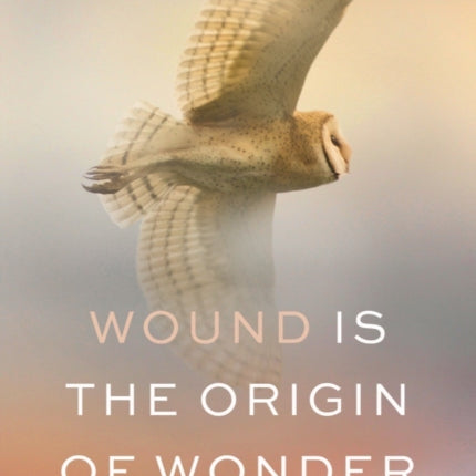 Wound Is the Origin of Wonder: Poems