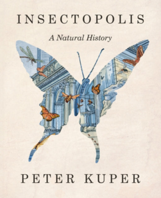 Insectopolis  A Natural History