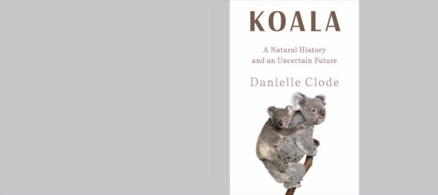 Koala: A Natural History and an Uncertain Future