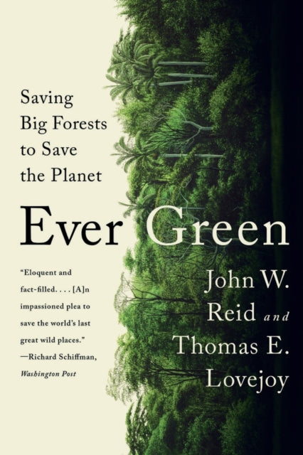 Ever Green: Saving Big Forests to Save the Planet