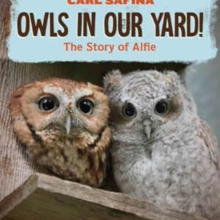 Owls in Our Yard  The Story of Alfie