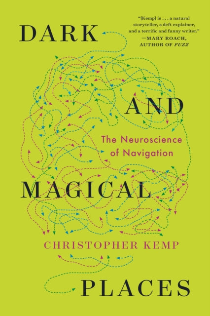 Dark and Magical Places  The Neuroscience of