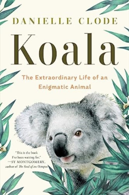 Koala  The Extraordinary Life of an Enigmatic Animal