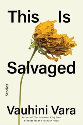 This Is Salvaged  Stories