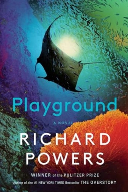 Playground  A Novel