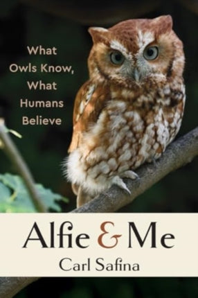 Alfie and Me  What Owls Know What Humans Believe