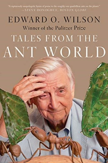 Tales from the Ant World