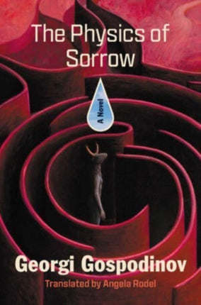 The Physics of Sorrow  A Novel