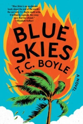 Blue Skies  A Novel