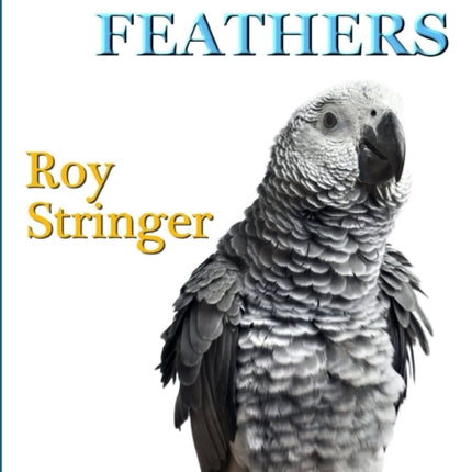 Ruffled Feathers