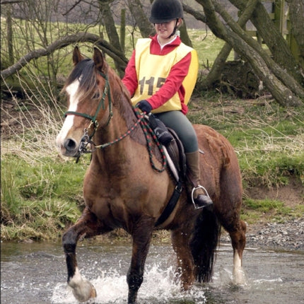 Endurance Horse Riding