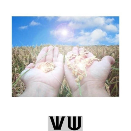 The Spiritual Laws