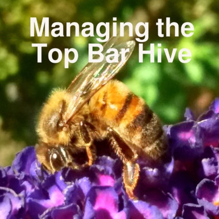 Balanced Beekeeping II Managing the Top Bar Hive
