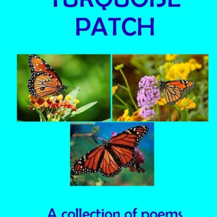 Turquoise Patch