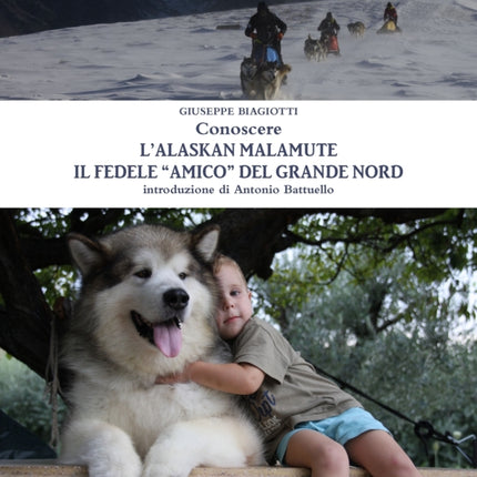 Conoscere lAlaskan Malamute  Il fedele amico del Grande Nord