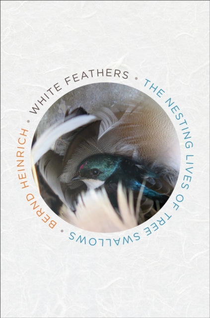 White Feathers: The Nesting Lives of Tree Swallows