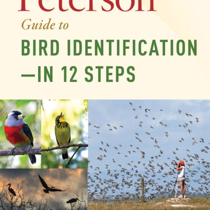 Peterson Guide To Bird Identification?çöin 12 Steps