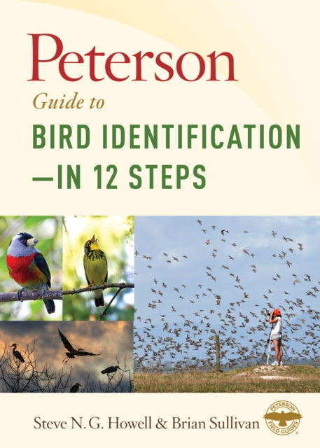 Peterson Guide To Bird Identification?çöin 12 Steps