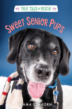 True Tales of Rescue: Sweet Senior Pups