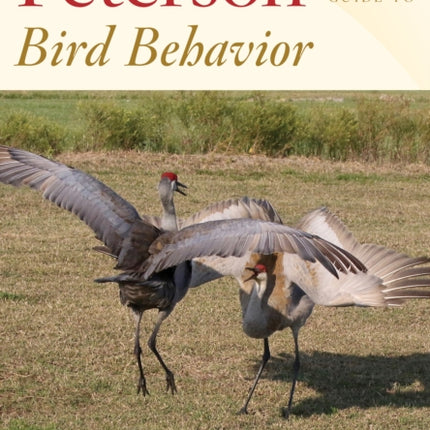 Peterson Reference Guide To Bird Behavior