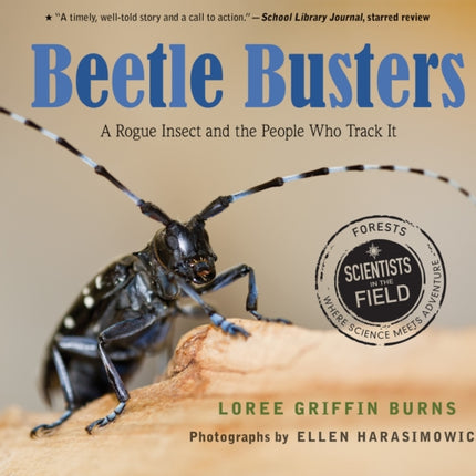 Beetle Busters: A Rogue Insect and the People Who Track It