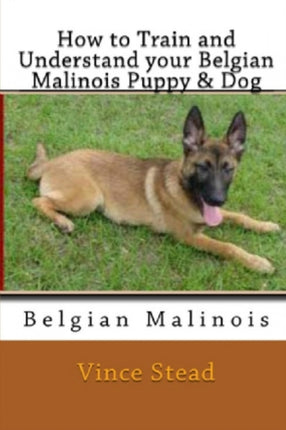How to Train and Understand Your Belgian Malinois Puppy  Dog