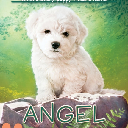 Angel (the Puppy Place #46): Volume 46